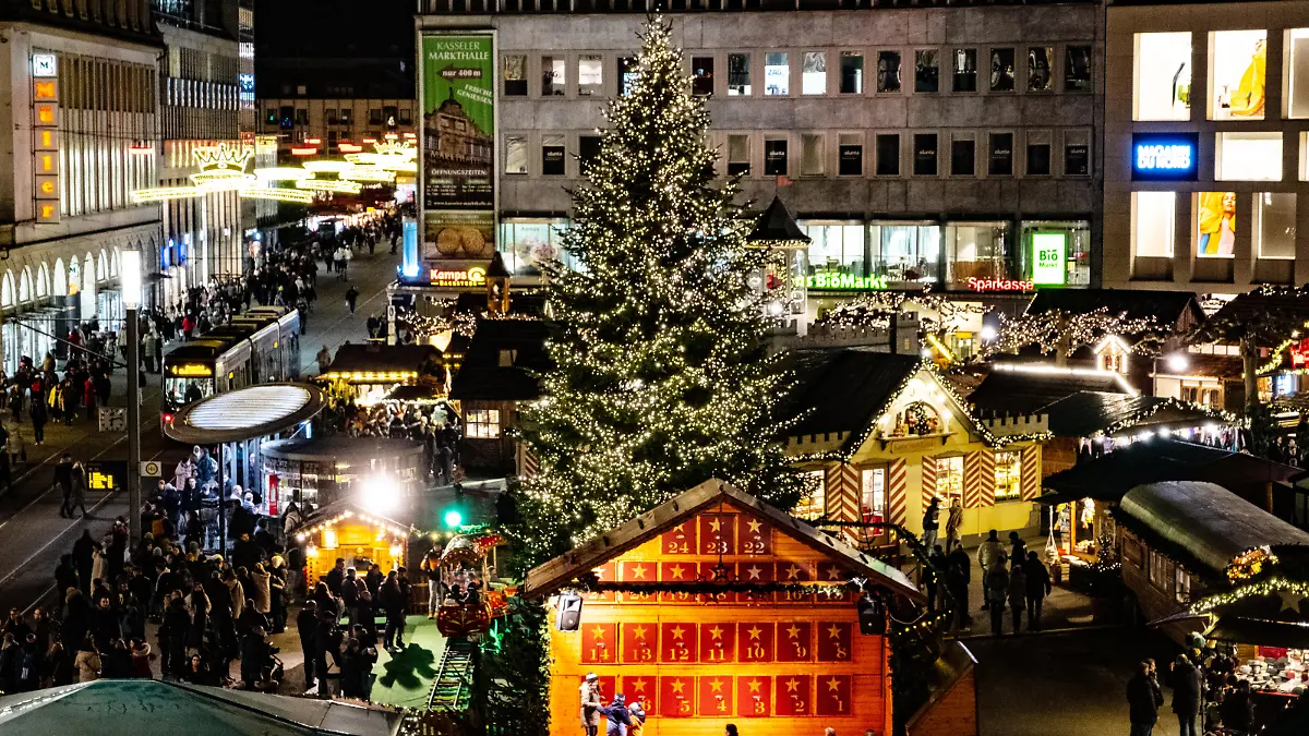 Nordmanntanne auf dem Königsplatz in Kassel.
