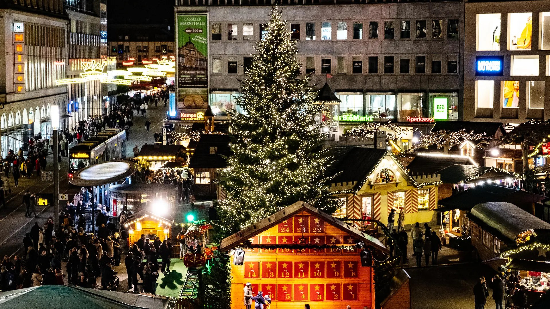 Nordmanntanne auf dem Königsplatz in Kassel.