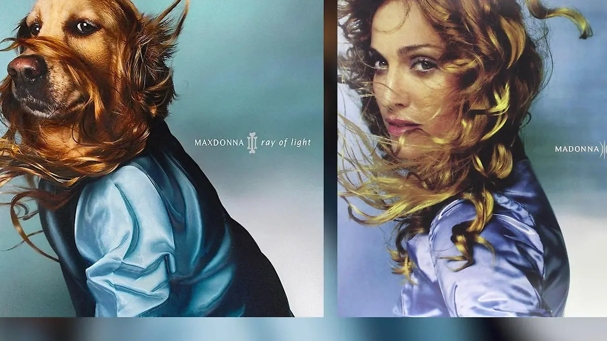 Hund stellt berühmte Madonna-Cover nach Flauschiger Super-Fan