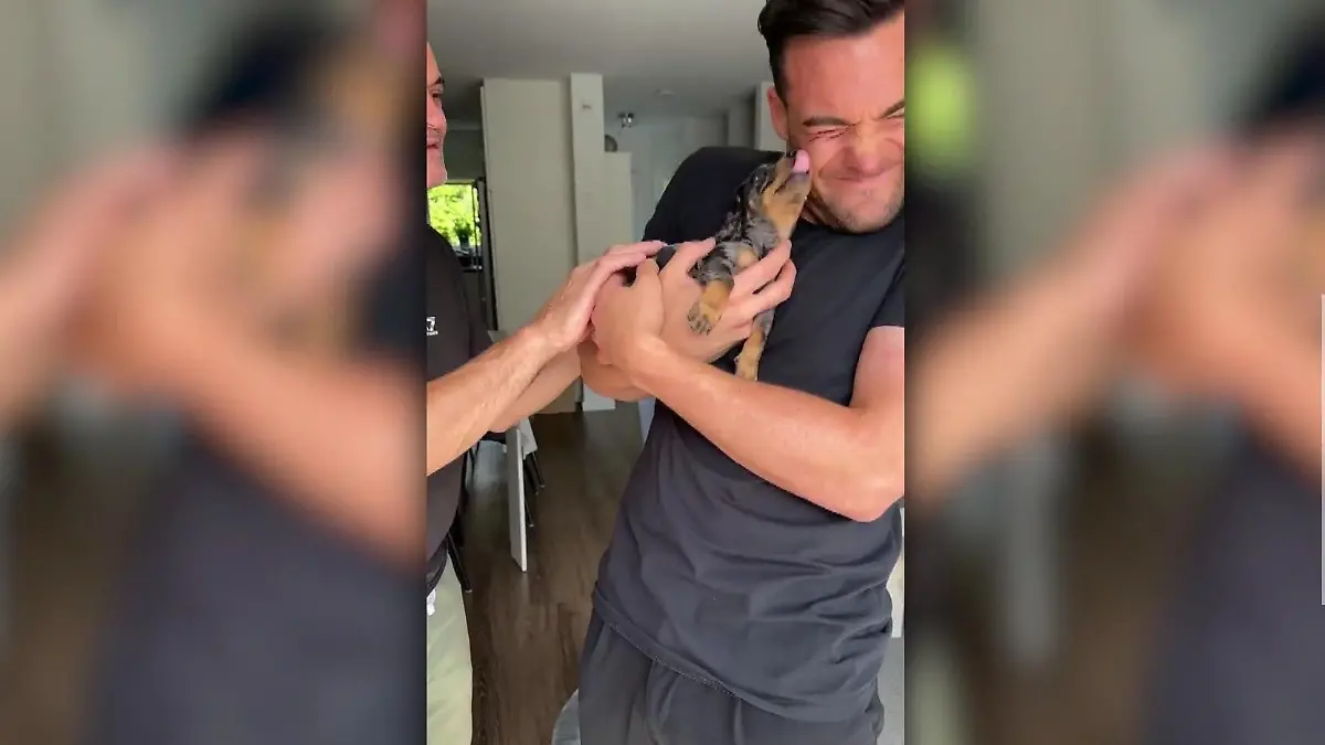 Beim Welpen strahlen Stefano Zarrellas Augen Flauschige Überraschung