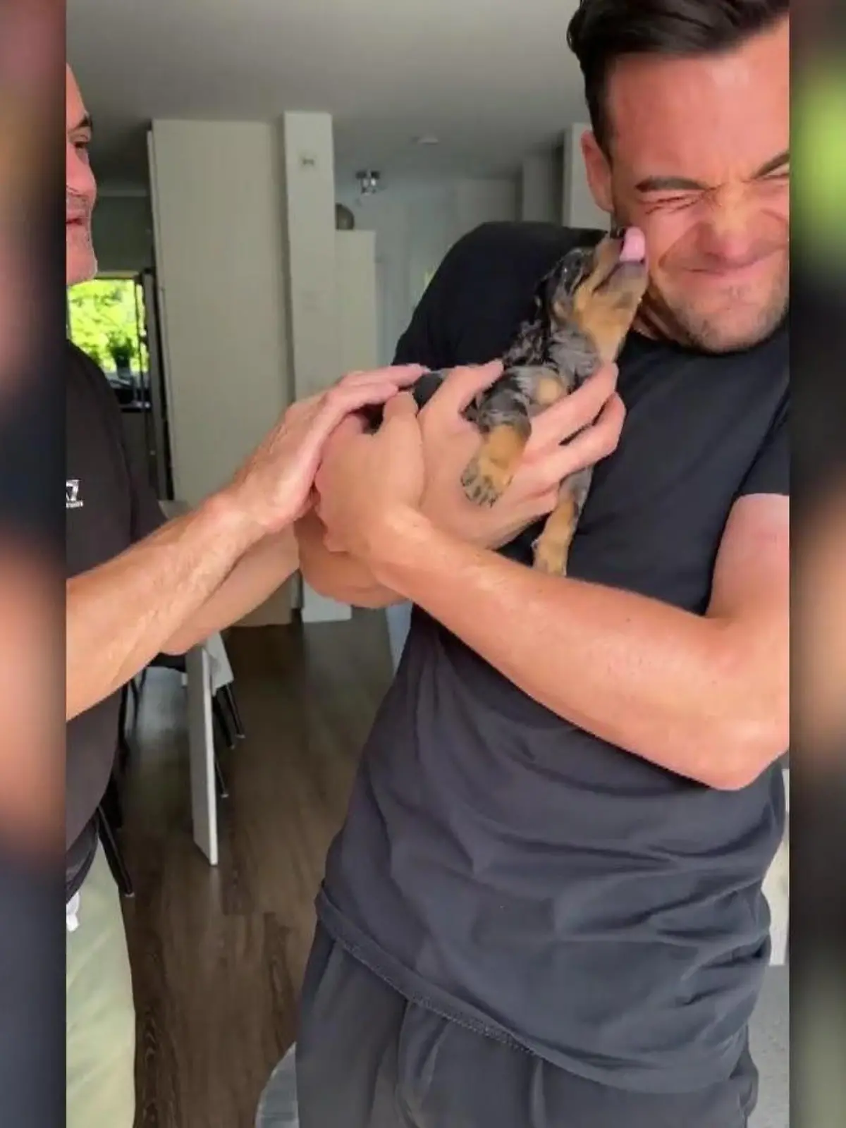 Bild zu: "Beim Welpen strahlen Stefano Zarrellas Augen"