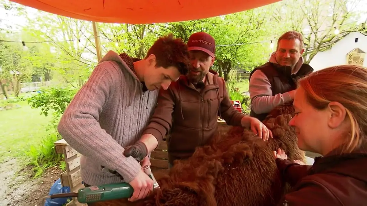 Einen Tag auf der Alpakafarm Schmidt macht mit
