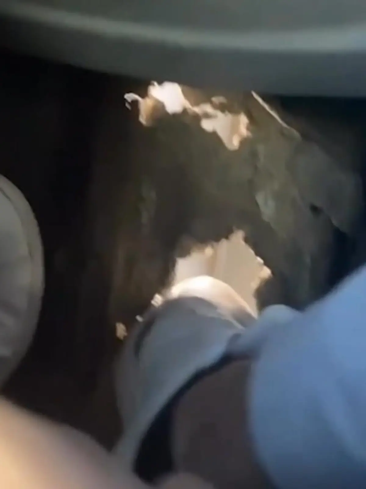 Diese Überraschung mag wohl niemand, wenn er gerade im fahrenden Bus sitzt...