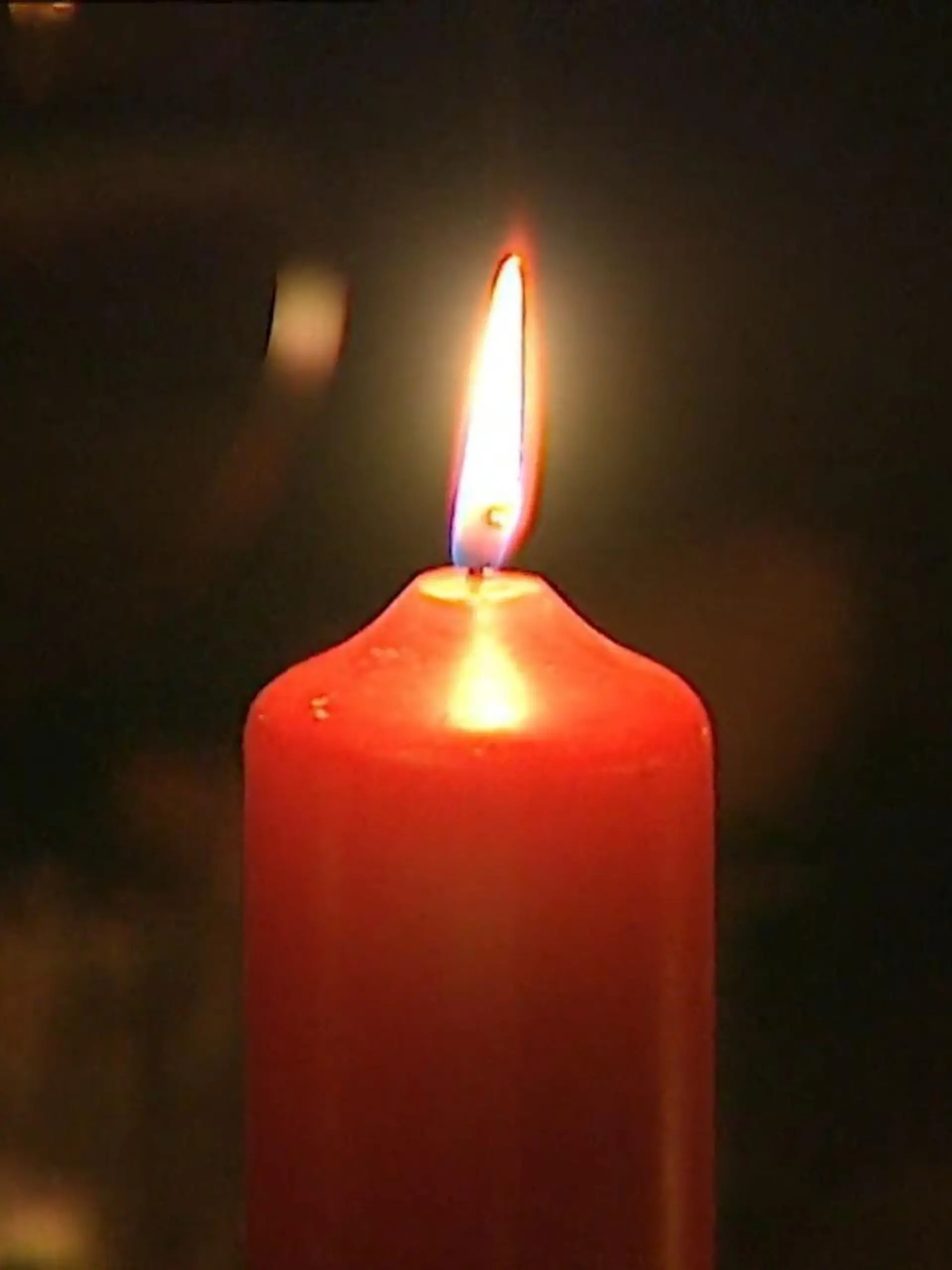 Bild zu: "Lichter aus im Münsterland"