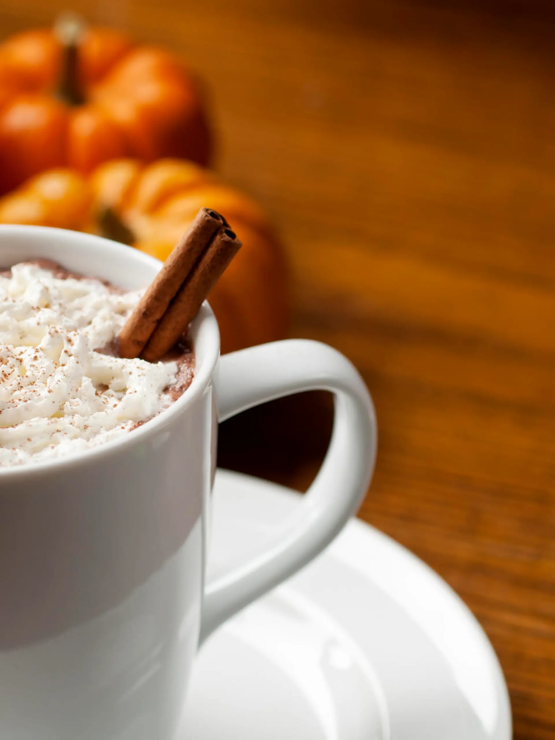 Pumpkin spice latte.  Please see my portfolio for other drinks and holiday related images.