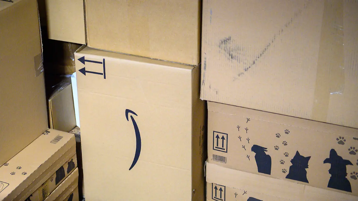PRODUKTION - 21.11.2022, Sachsen-Anhalt, Magdeburg: Pakete liegen im DHL Paketzentrums zum Weitertransport bereit. Die Post bereitet sich derzeit auf Weihnachten vor. Für die Post und ihre Mitarbeiter bedeutet die Vorweihnachtszeit vor allem viel Stress. Das will die Post honorieren und sieht sich gut gewappnet. Foto: Klaus-Dietmar Gabbert/dpa +++ dpa-Bildfunk +++