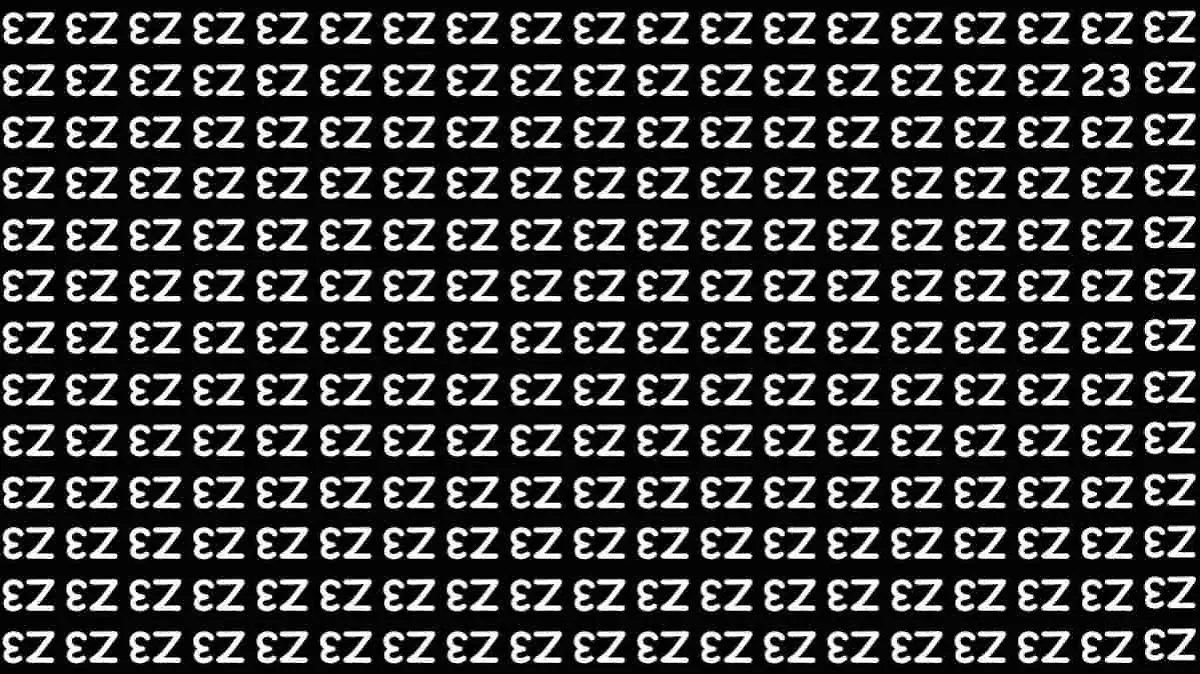 Suchbild mit diversen "E" und "Z", darunter auch eine 23