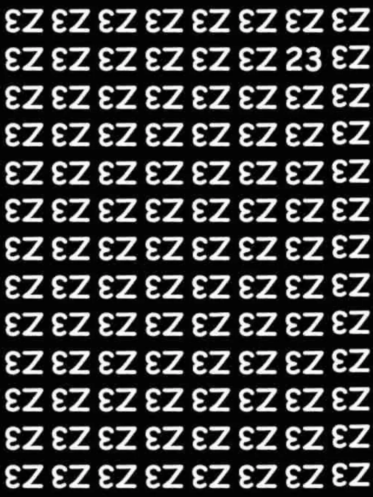 Suchbild mit diversen "E" und "Z", darunter auch eine 23