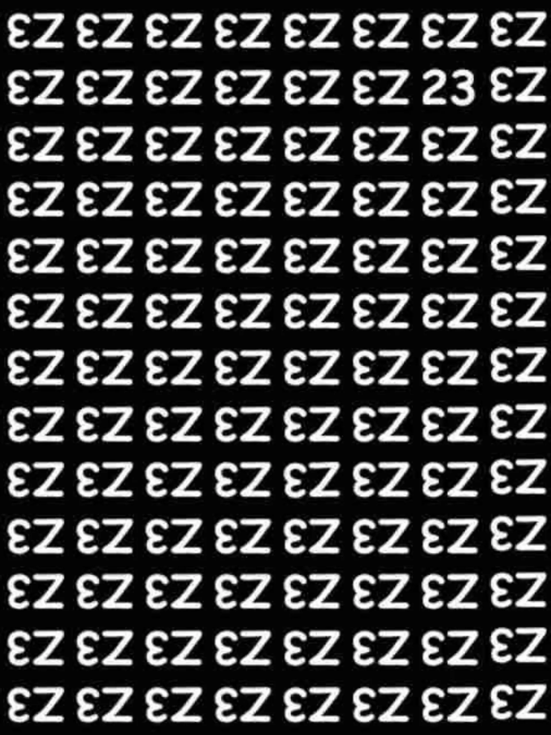 Suchbild mit diversen "E" und "Z", darunter auch eine 23