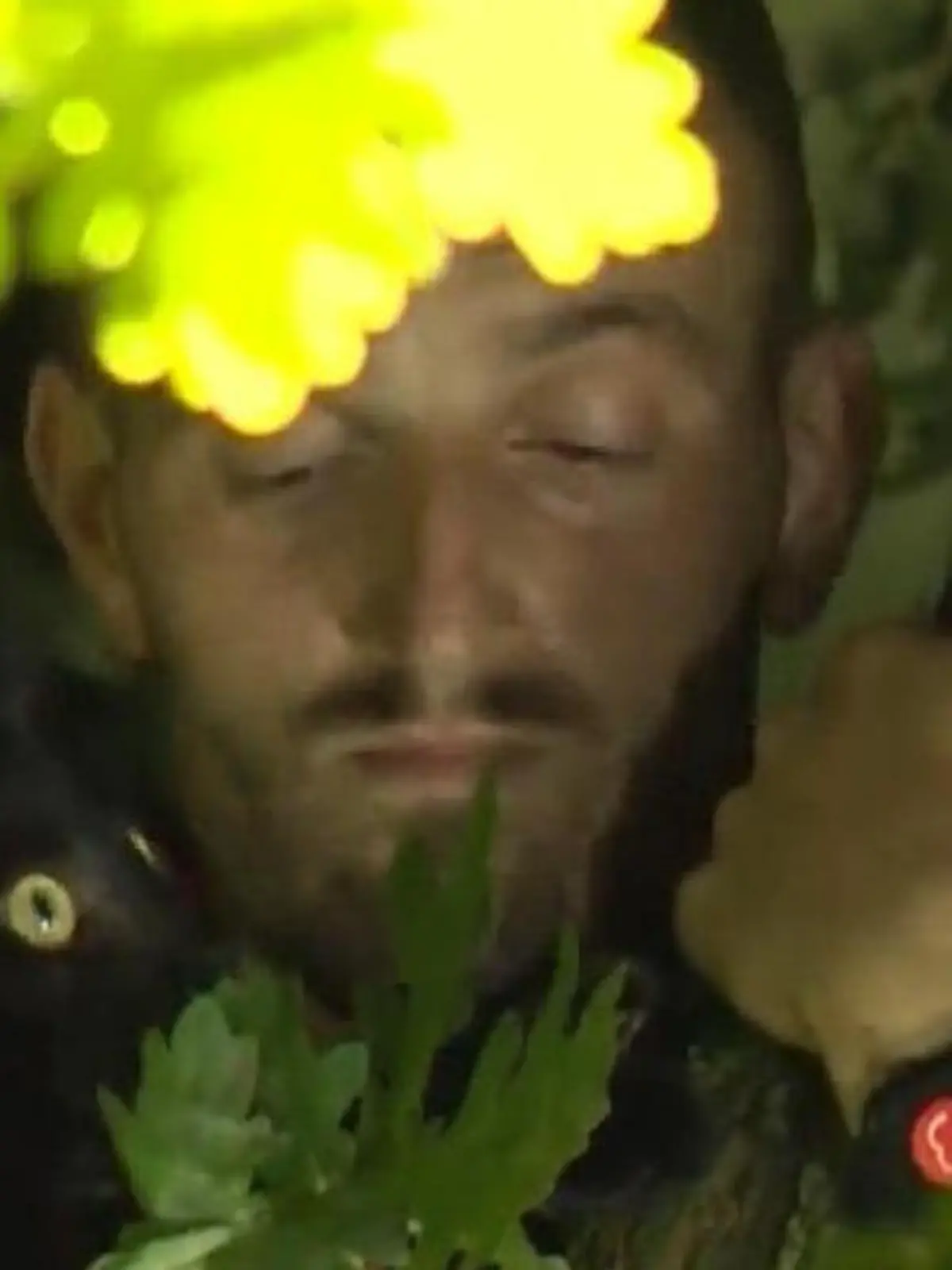 Weil sein einjähriges Kätzchen nicht allein von einem hohen Baum herunterkommt, klettert sein Besitzer kurzentschlossen hinterher und rettet Sid. Und muss selbst gerettet werrden...