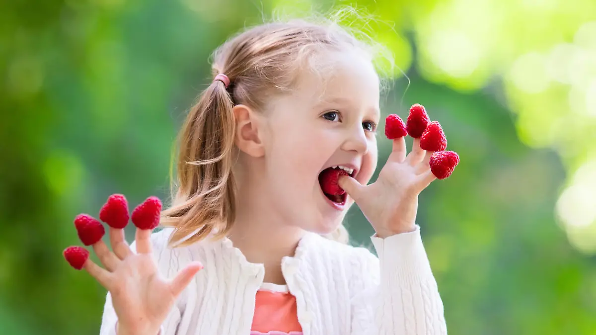 Child picking raspberry. Kids pick fresh fruit on organic raspberries farm. Children gardening and harvesting berry. Toddler kid eating ripe healthy berries. Outdoor family summer fun in the country.