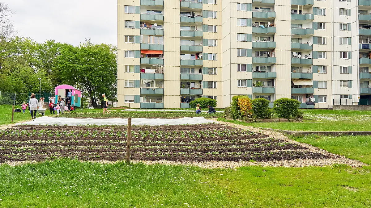 Porz Finkenberg - Market Garden vor den Wohnblocks