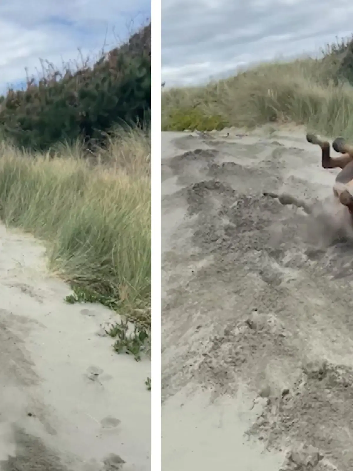 Bei dem tollen Sand kann man ja auch mal vergessen, dass da hinten noch wer drauf sitzt! Bei einem Ausritt in Australien, hat ein Hengst seine Reiterin abgeworfen – nur um sich dann genüsslich im Sand zu wälzen. Den lustigen Moment und wieso Pferde sich so gerne auf dem Boden rollen, zeigen wir im Video.