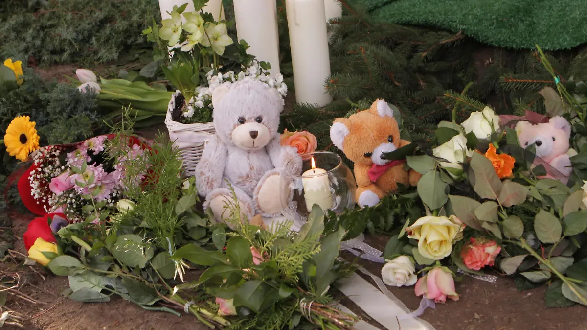 Blumen und Plüschtiere sind am Donnerstag (16.02.2012) auf dem evangelischen Friedhof Potsdam-Bornstedt an das Grab eines getöteten Babys gelegt worden. Die Babyleiche war im vergangenen Jahr, einen Tag vor Heiligabend, in Potsdam tot aufgefunden worden. Von der Mutter fehlt bislang jede Spur. Foto: Nestor Bachmann dpa/lbn