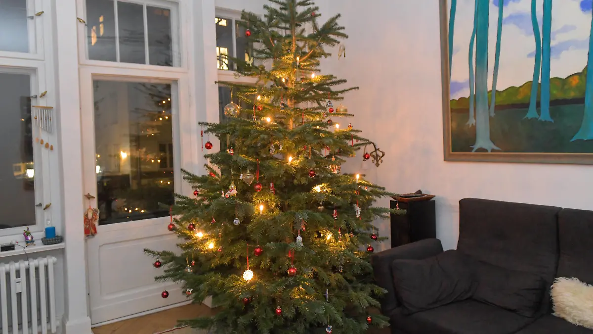  Weihnachtsbaum, Wohnzimmer, Deutschland *** Christmas tree, Living room, Germany