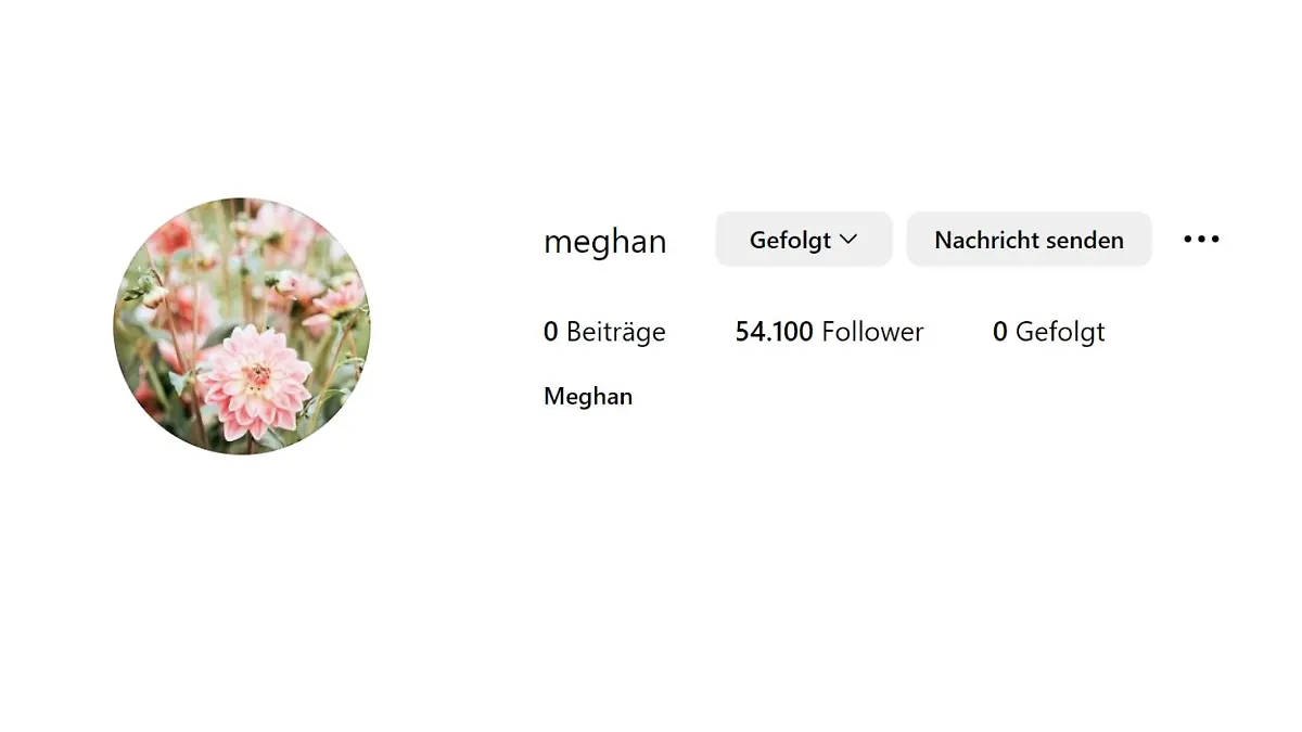 Ein Instagram-Profil von einer Userin, die Meghan heißt, hat bislang null Beiträge, aber bereuts über 54.000 Follower.
