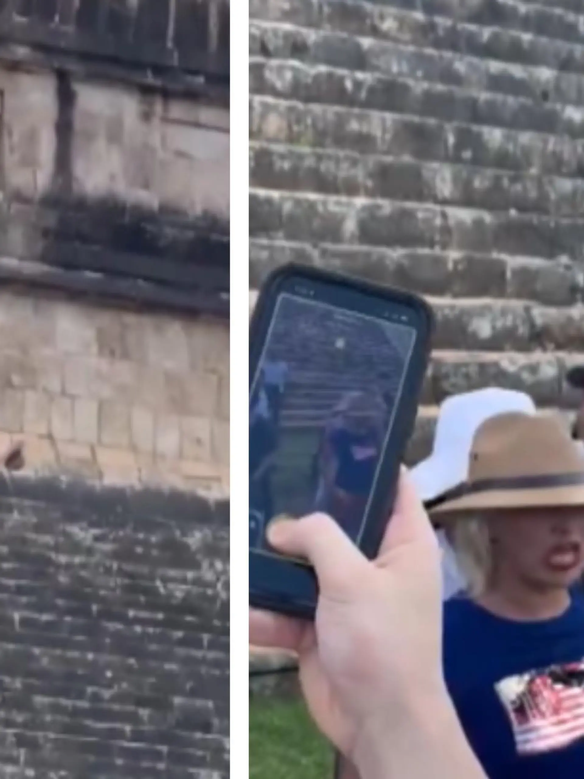 Eine Frau, die spanische Staatsangehörige sein soll, sorgte für Empörung, als sie die Regeln ignorierte und die Stufen der Tempelanlage Chichén Itzá bestieg. Am Gipfel angekommen, lässt sie sich feiern und kreist ihre Hüften – dass sie danach einen Walk of Shame hinlegen würde, hätte sie wohl nicht gedacht. Sie wird heftig beschimpft, mit Wasser übergossen und muss Geschubse ertragen.