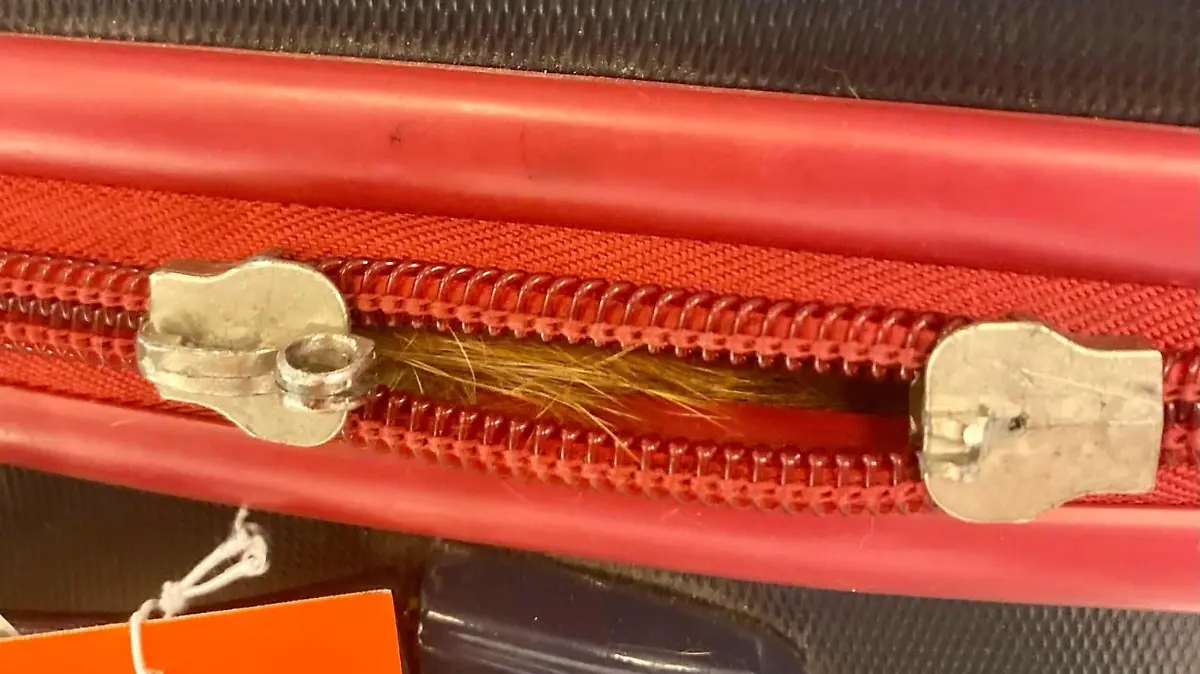 Die roten Katzenhaare im Reißverschluss enttarnen den blinden Passagier.