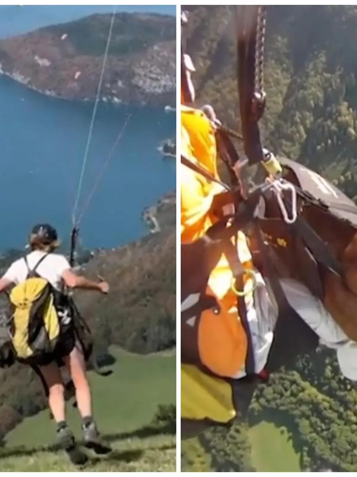 Es sind luftige Höhen mit denen sich  Corinne Dhenin mit ihrer Hündin Phoebe wagt. Zusammen haben die beiden schon über 200 Sprünge gemacht - und die Hündin liebt das fliegen!