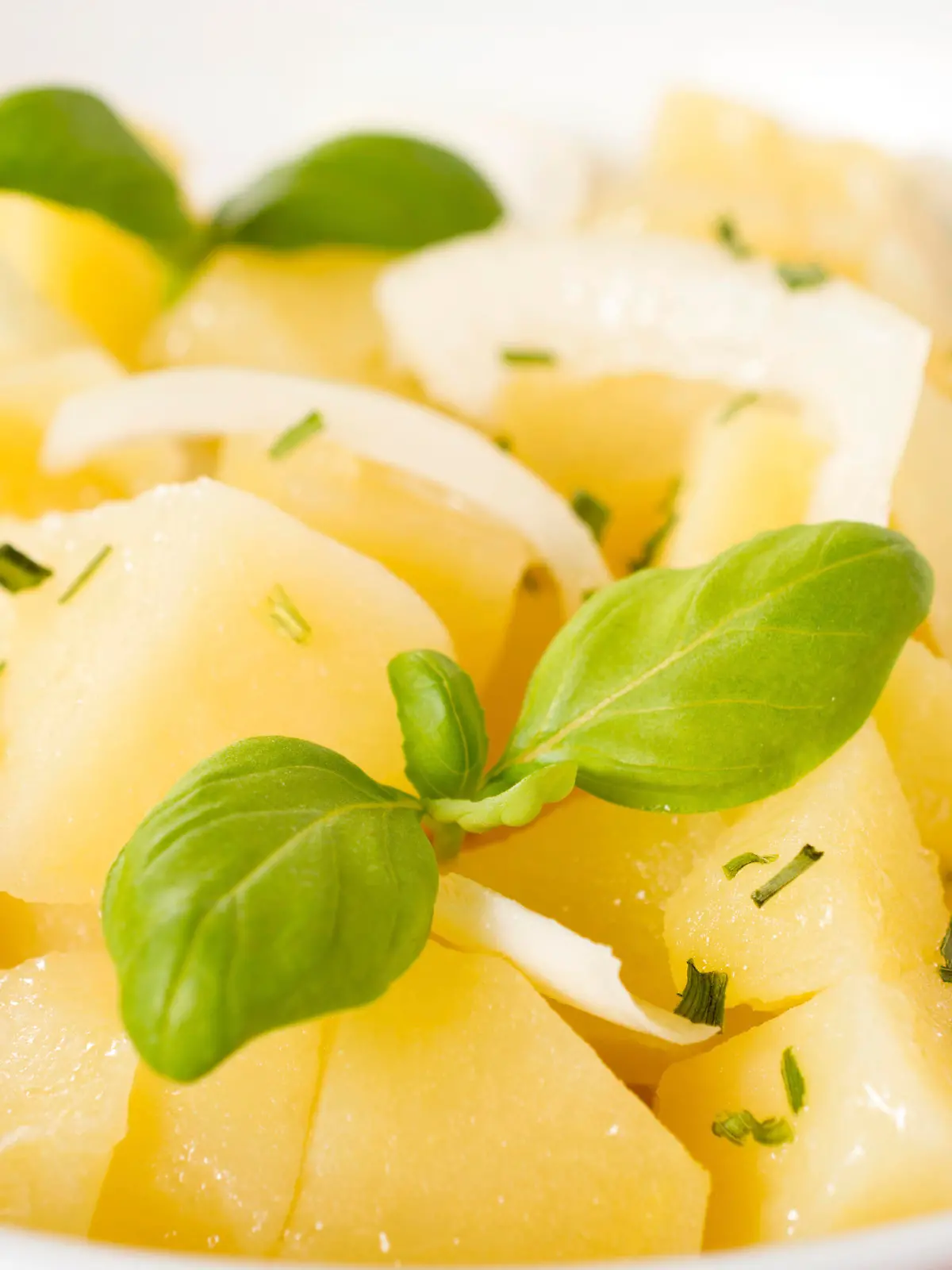 Selective focus in the middle of traditional German potato salad with onion