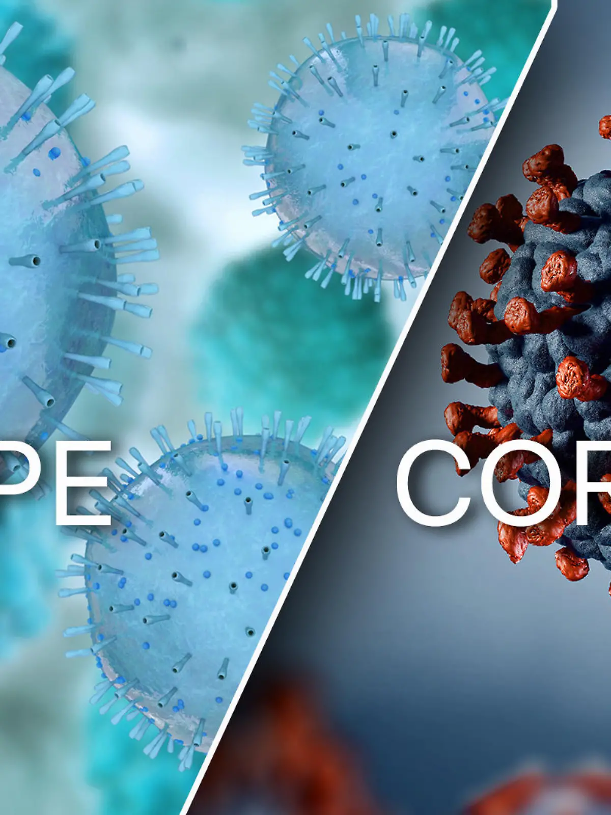 Collage Grippe und Corona