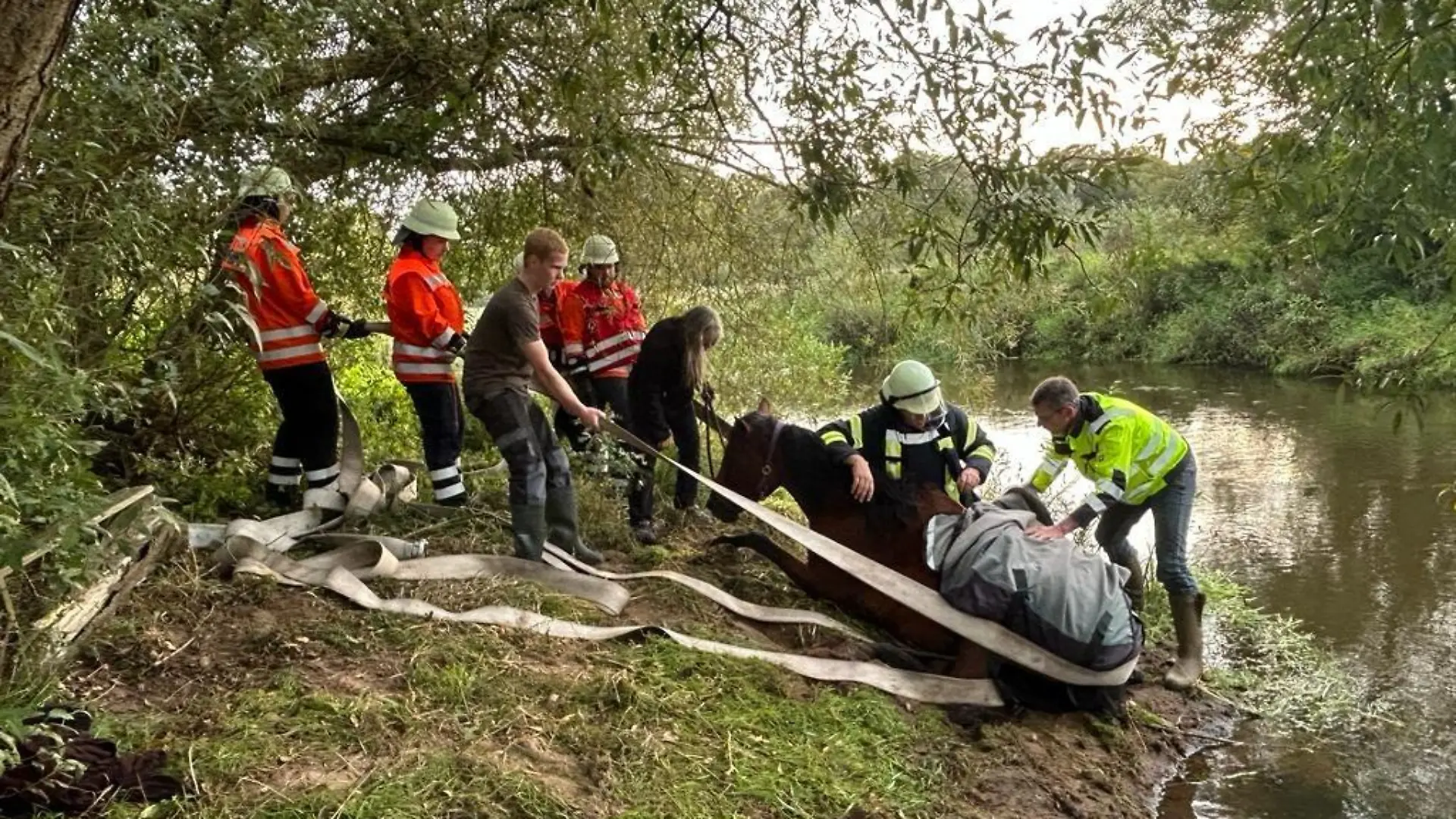 Die Feuerwehr beim befreien des Pferdes