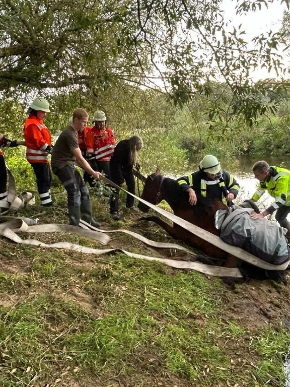 Die Feuerwehr beim befreien des Pferdes