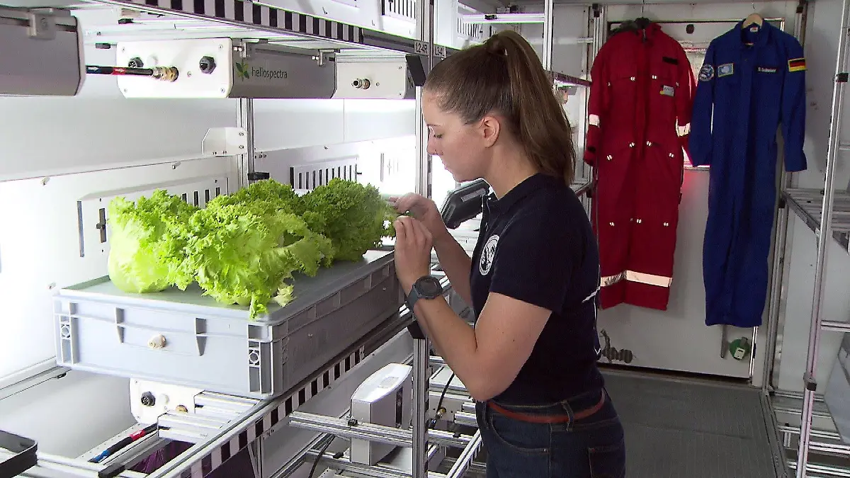 Jess Bunchek hat in der Antarktis nicht nur Tomaten, sondern auch Kräuter und Salat angebaut. Die Ernte sei jedes Mal ein Fest, sagt die Pflanzenforscherin im RTL-Interview.