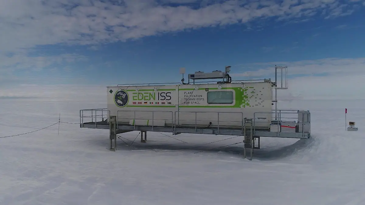 Gemüse on ice - Im Eden ISS Container wird geforscht, wie Pflanzen im All wachsen können.