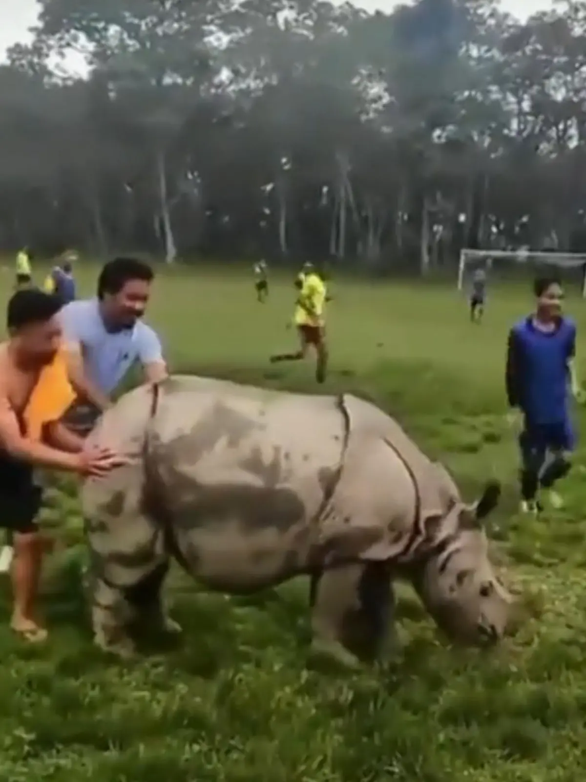 In Indien sorgte ein kleines Nashorn für die Unterbrechung eines Fußballspiels. Der tierische Eindringling hatte jedoch ganz andere Absichten als die eines gewöhnlichen Flitzers. Mehr dazu im Video.