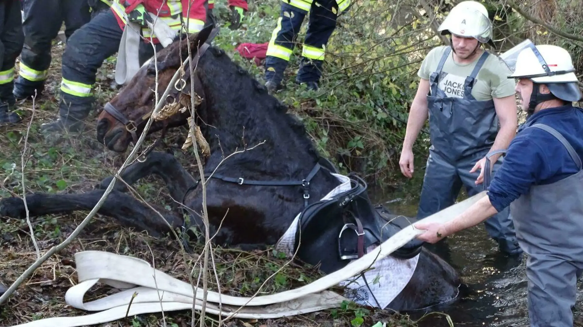 Bei einer Schleppjagd in Sudermühlen geriet am Sonnabend ein Reiter mit seinem Pferd in einen Wassergraben. Dabei blieb das Tier mit den Hinterläufen im schlammigen Untergrund stecken.