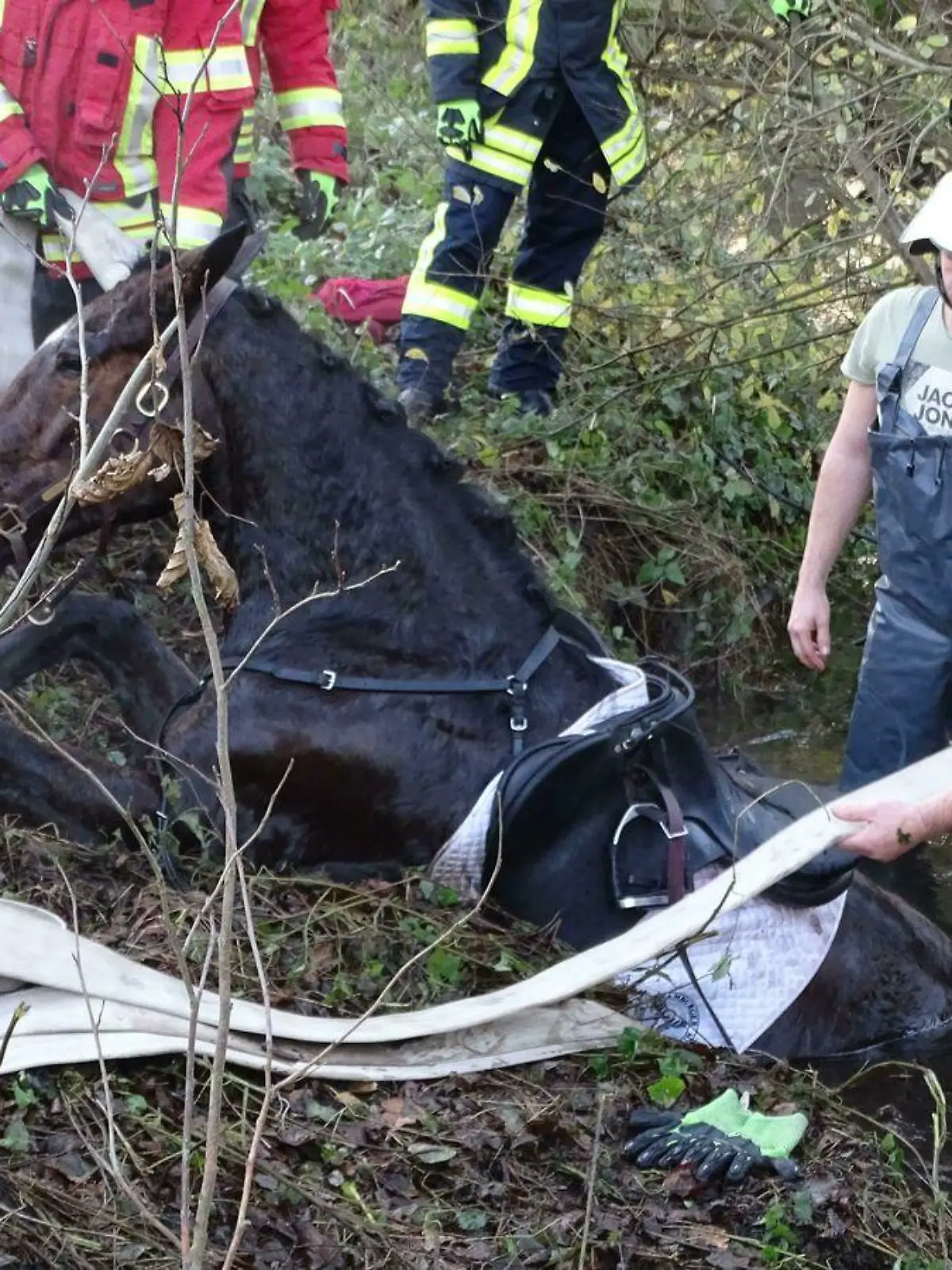 Bei einer Schleppjagd in Sudermühlen geriet am Sonnabend ein Reiter mit seinem Pferd in einen Wassergraben. Dabei blieb das Tier mit den Hinterläufen im schlammigen Untergrund stecken.