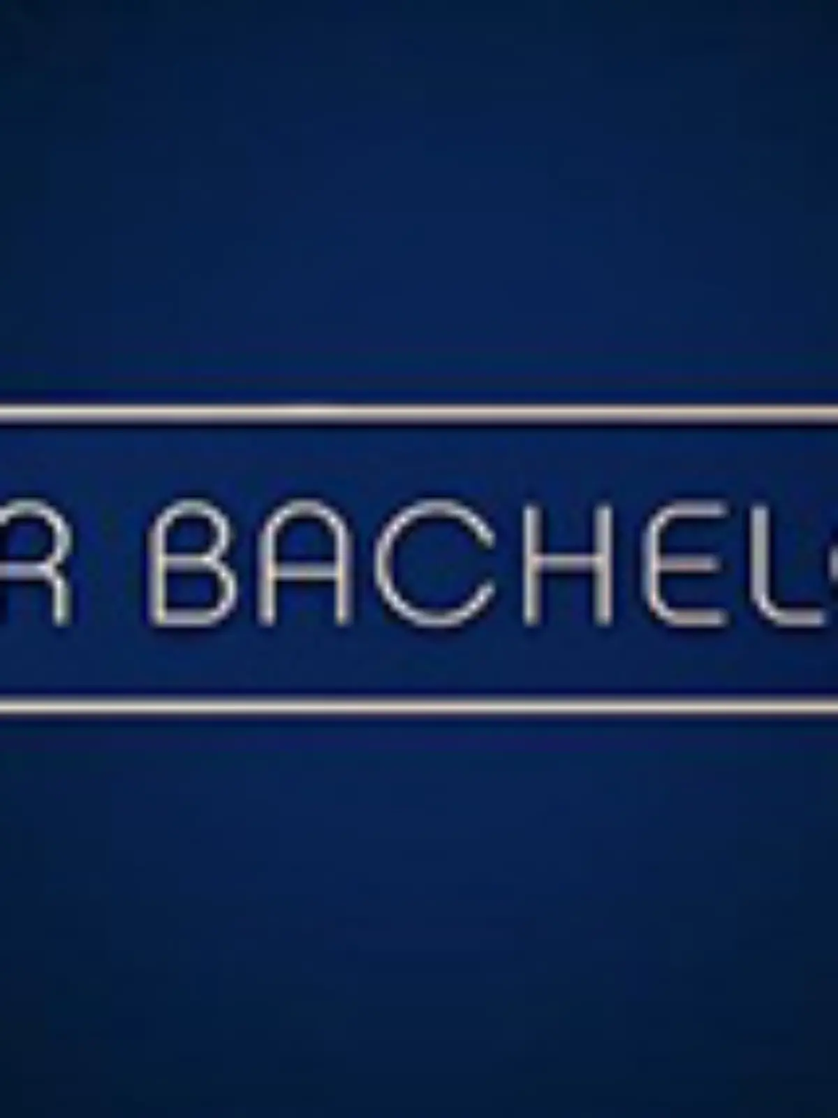Der Bachelor