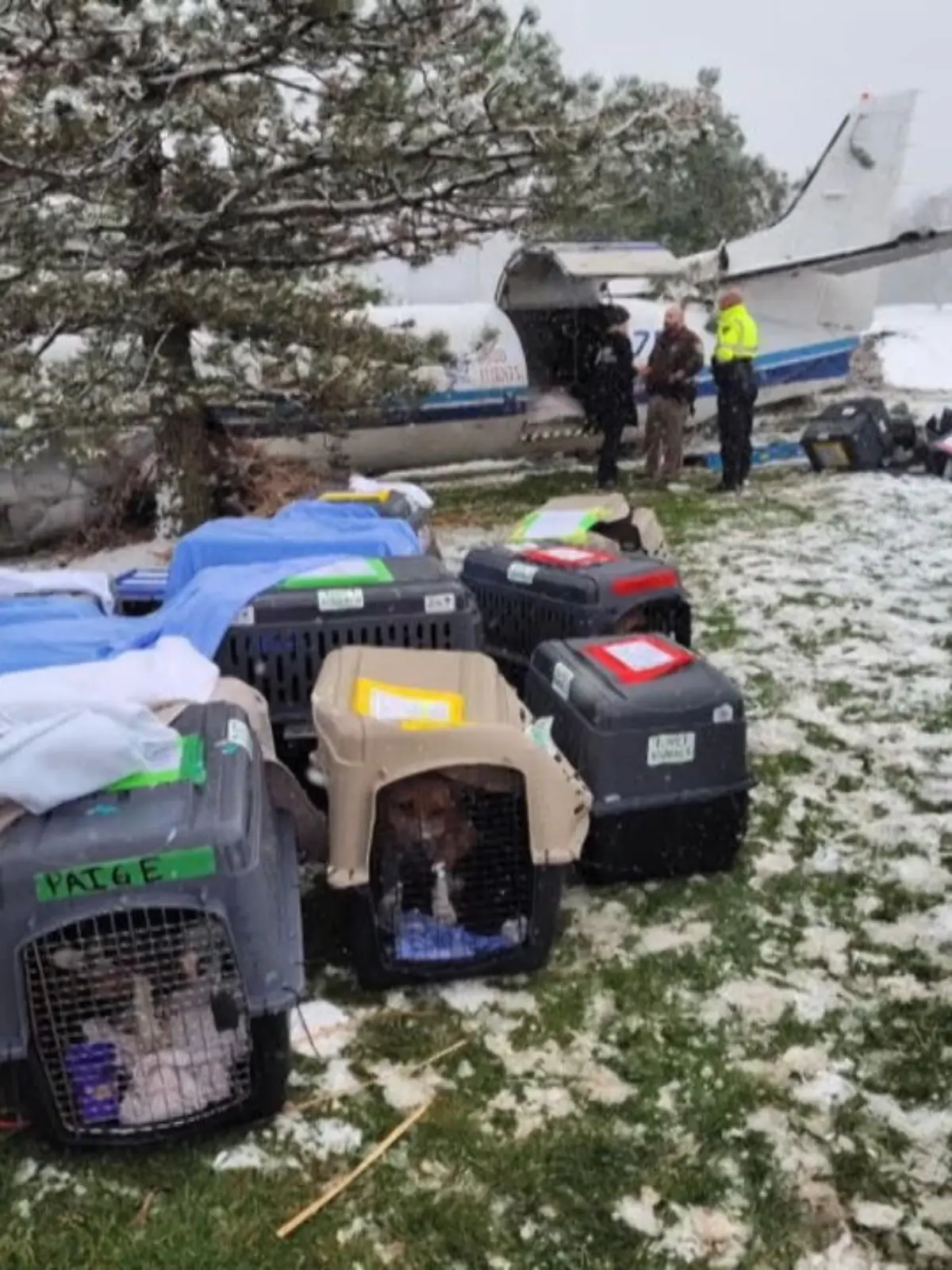 Den Rettern bietet sich ein erschreckendes Bild: Ein Flugzeug liegt auf einem Golfplatz, die Flügel sind abgerissen, die Maschine hat eine Bruchlandung hingelegt. Doch als die Retter zum Wrack kommen, erleben sie ein wahres Wunder.