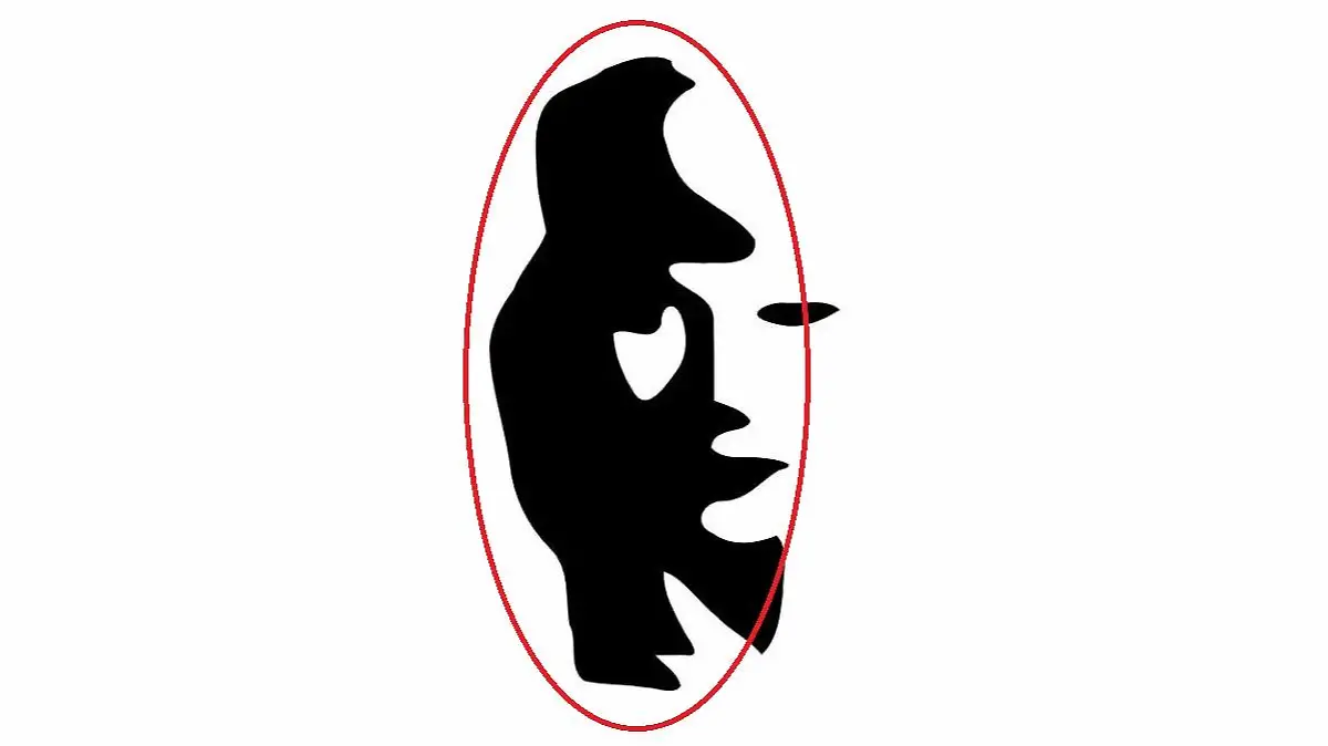 Eine optische Täuschung auf der Mann sowohl ein weibliches Gesicht als auch einen Saxophonspieler sehen kann. Der Saxophonspieler ist mit einem roten Kreis umrandet.