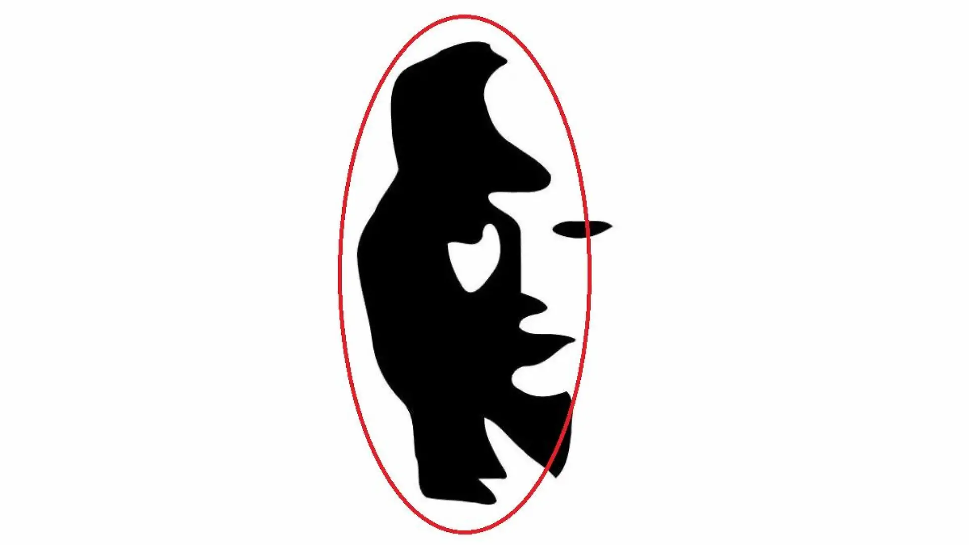 Eine optische Täuschung auf der Mann sowohl ein weibliches Gesicht als auch einen Saxophonspieler sehen kann. Der Saxophonspieler ist mit einem roten Kreis umrandet.