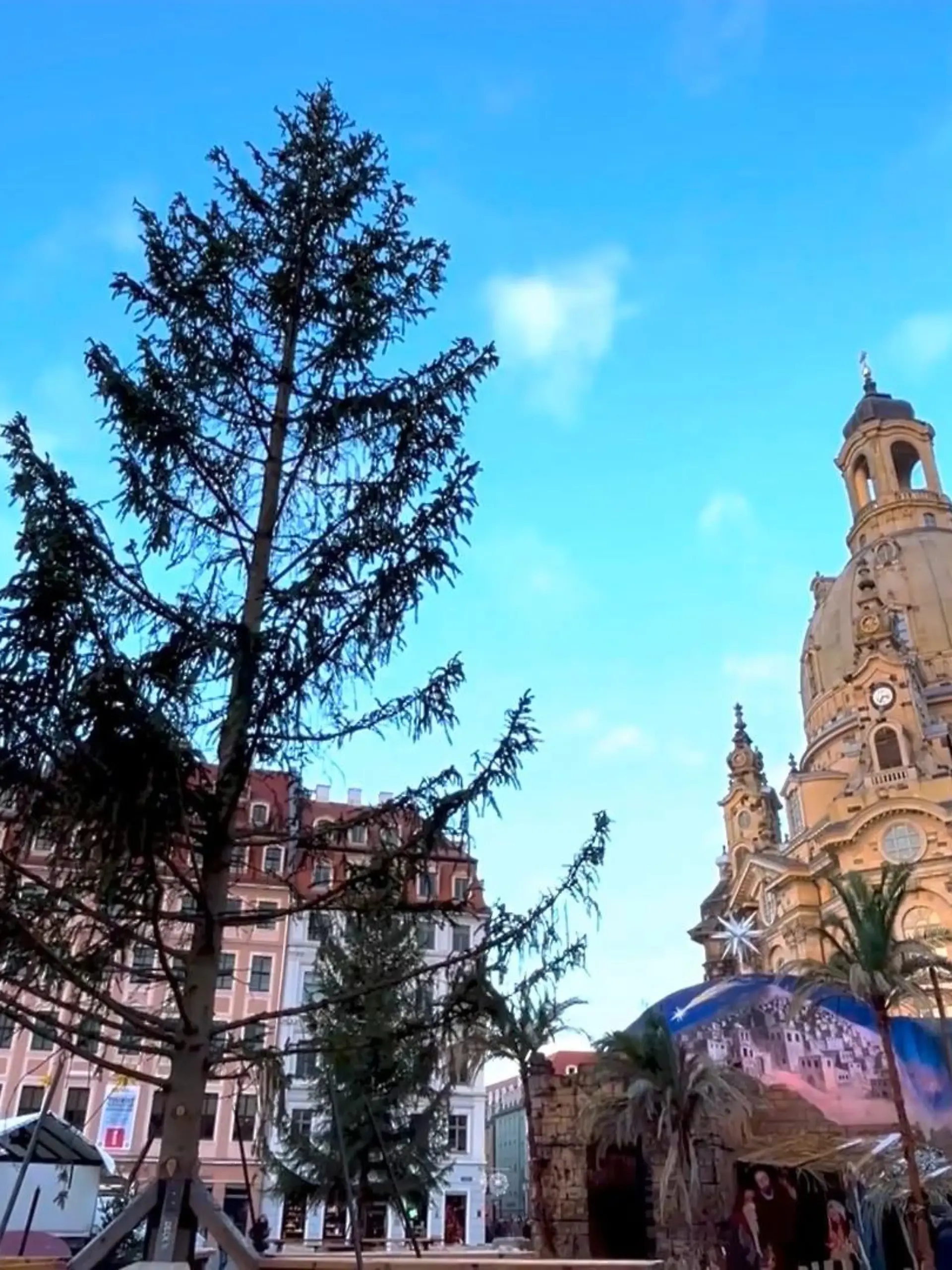 Dieser Weihnachtsbaum sorgt in Dresden für Aufruhr. Halten Sie diesen Weihnachtsbaum für den hässlichsten, oder ist das übertrieben?