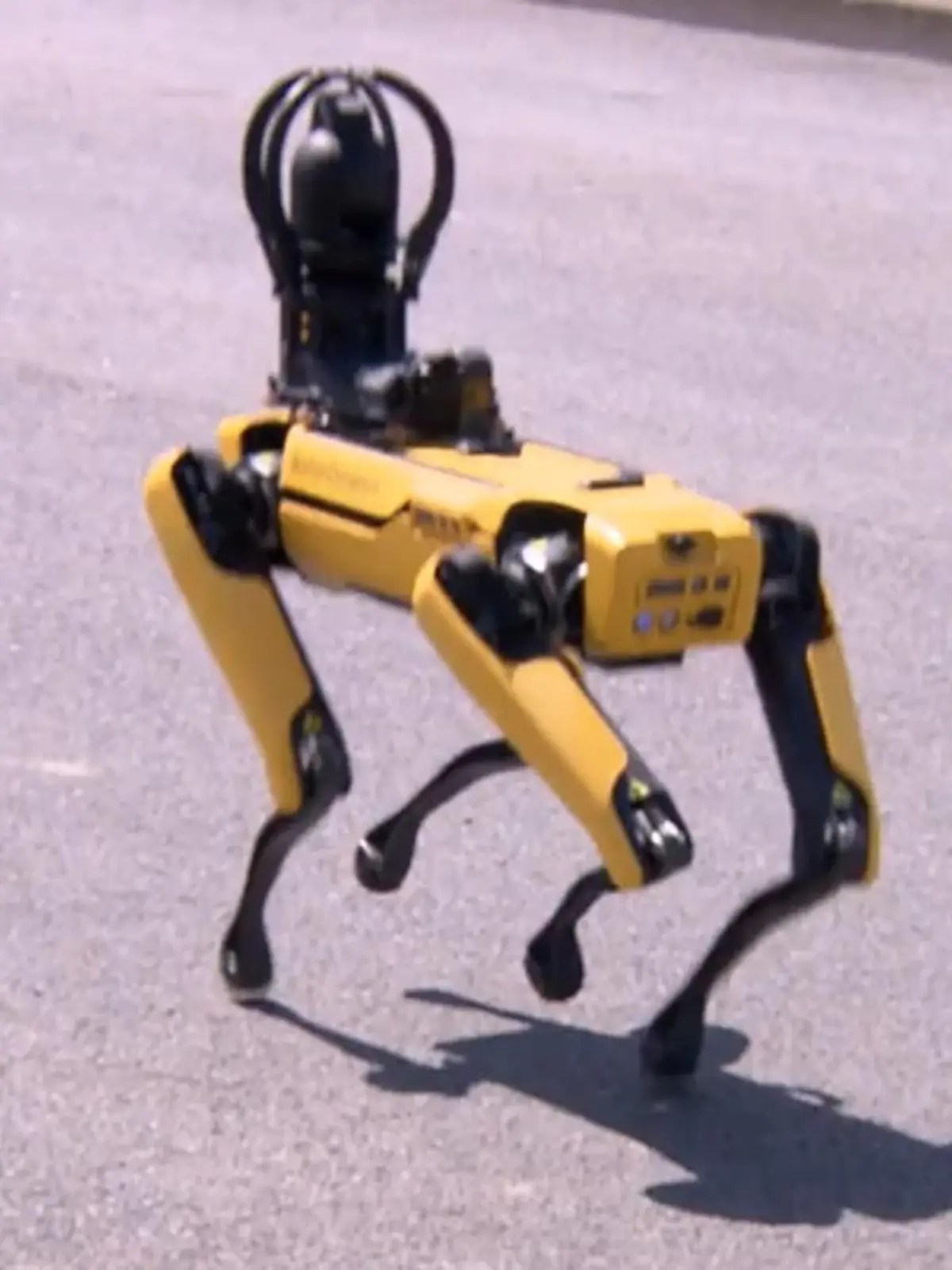 Bild zu: "Elektrischer Hund"
