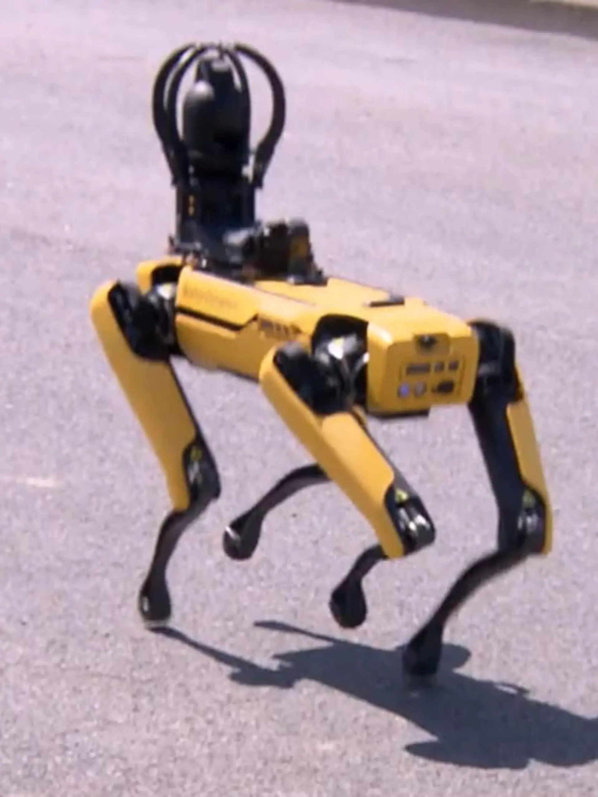 Bild zu: "Elektrischer Hund"
