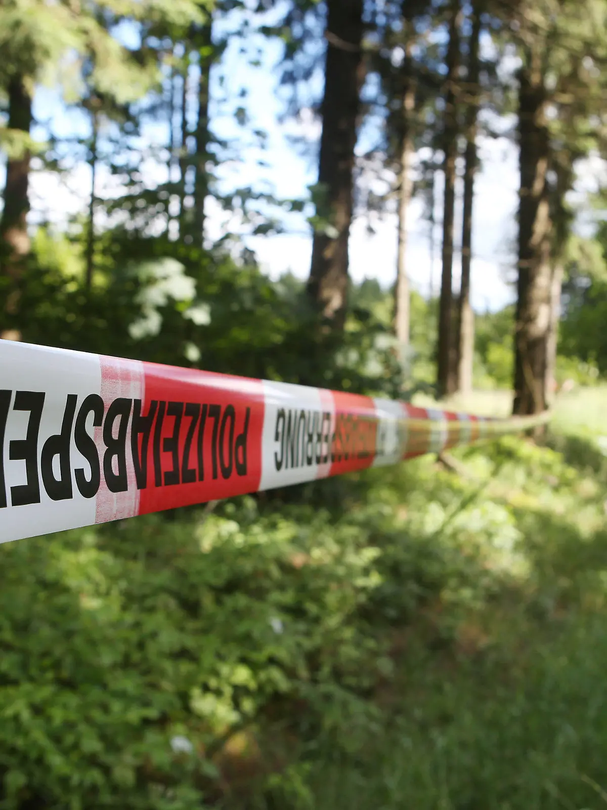 ARCHIV - 04.07.2016, Thüringen, Rodacherbrunn: Ein Absperrband der Polizei umzäunt ein Waldstück. Ein Pilzsammler fand hier im Juli 2016 Skelettteile der vermissten Peggy. (zu dpa "Polizei: Festnahme im Fall Peggy " vom 11.10.2018) Foto: Bodo Schackow/ZB/dpa +++ dpa-Bildfunk +++