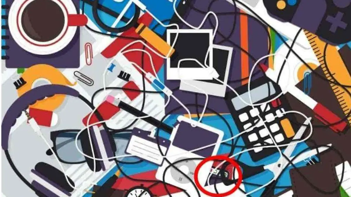 Suchbild Lösung Smartphone