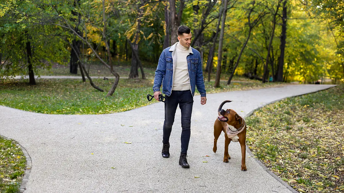 Young man with his pet boxer dog in a park. About 25 years old, Caucasian male.