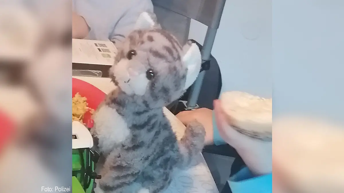Katzi