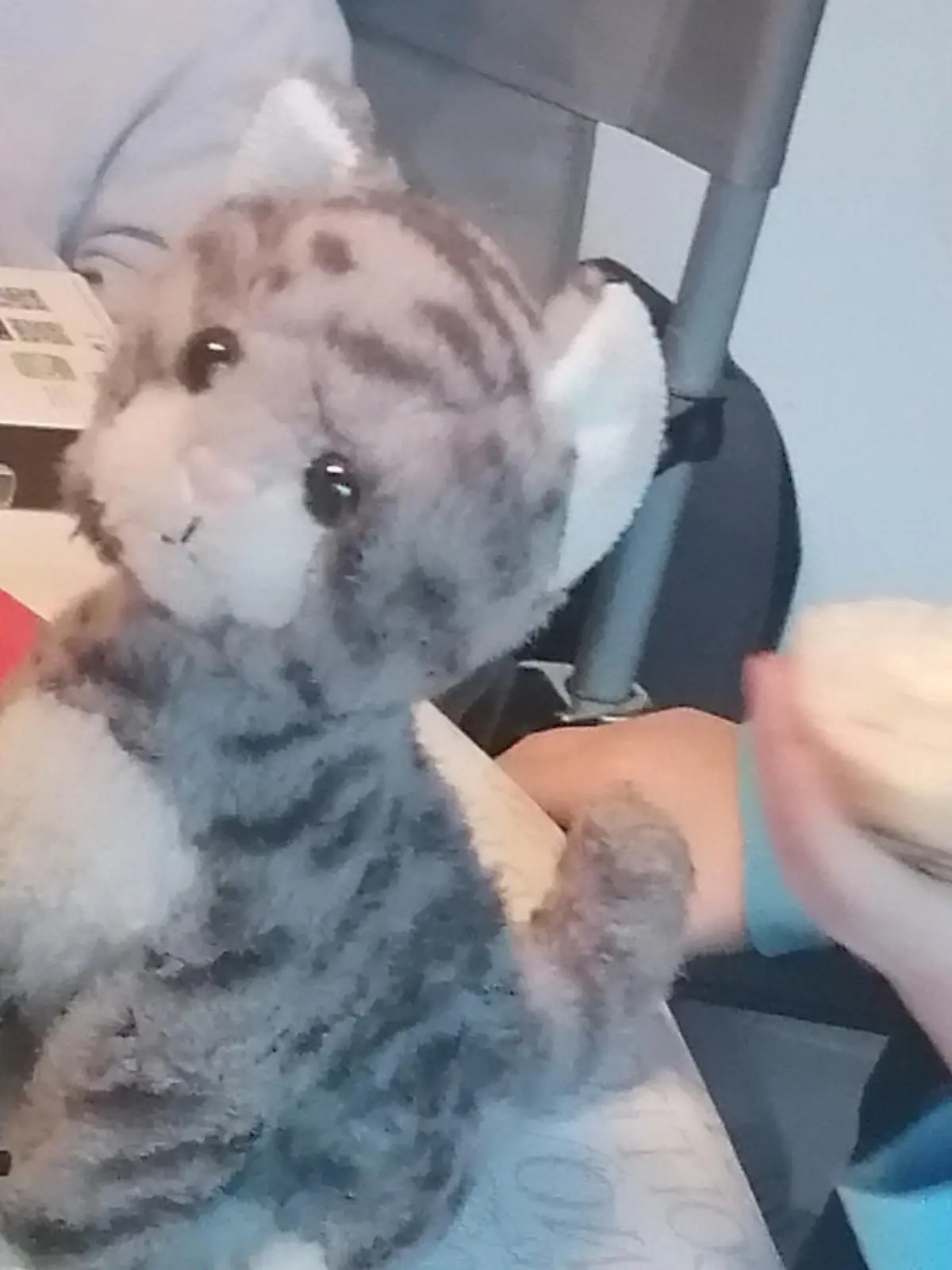 Katzi