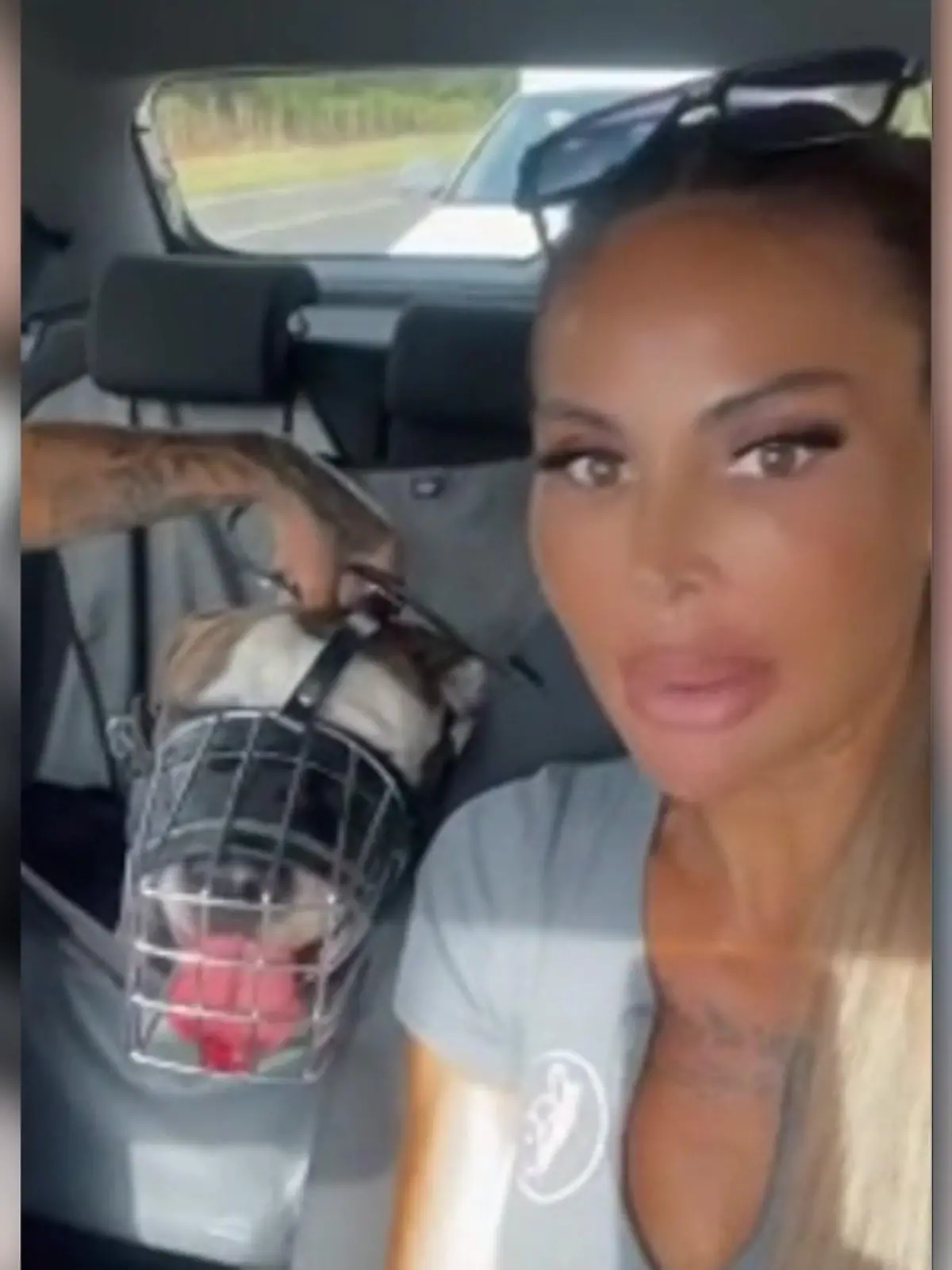 Sie wollten angeblich nicht, dass weitere Hunde qualvoll sterben: Die „Goodbye Deutschland"-Auswanderer und Influencer Lisha und Lou sind auf Mallorca auf ein Grundstück eingebrochen, um Tiere zu retten. Ein anderer deutscher Auswanderer, der dort mit seiner Frau wohnt, soll seine Hunde gequält und einen der Vierbeiner im Pool ertränkt haben.