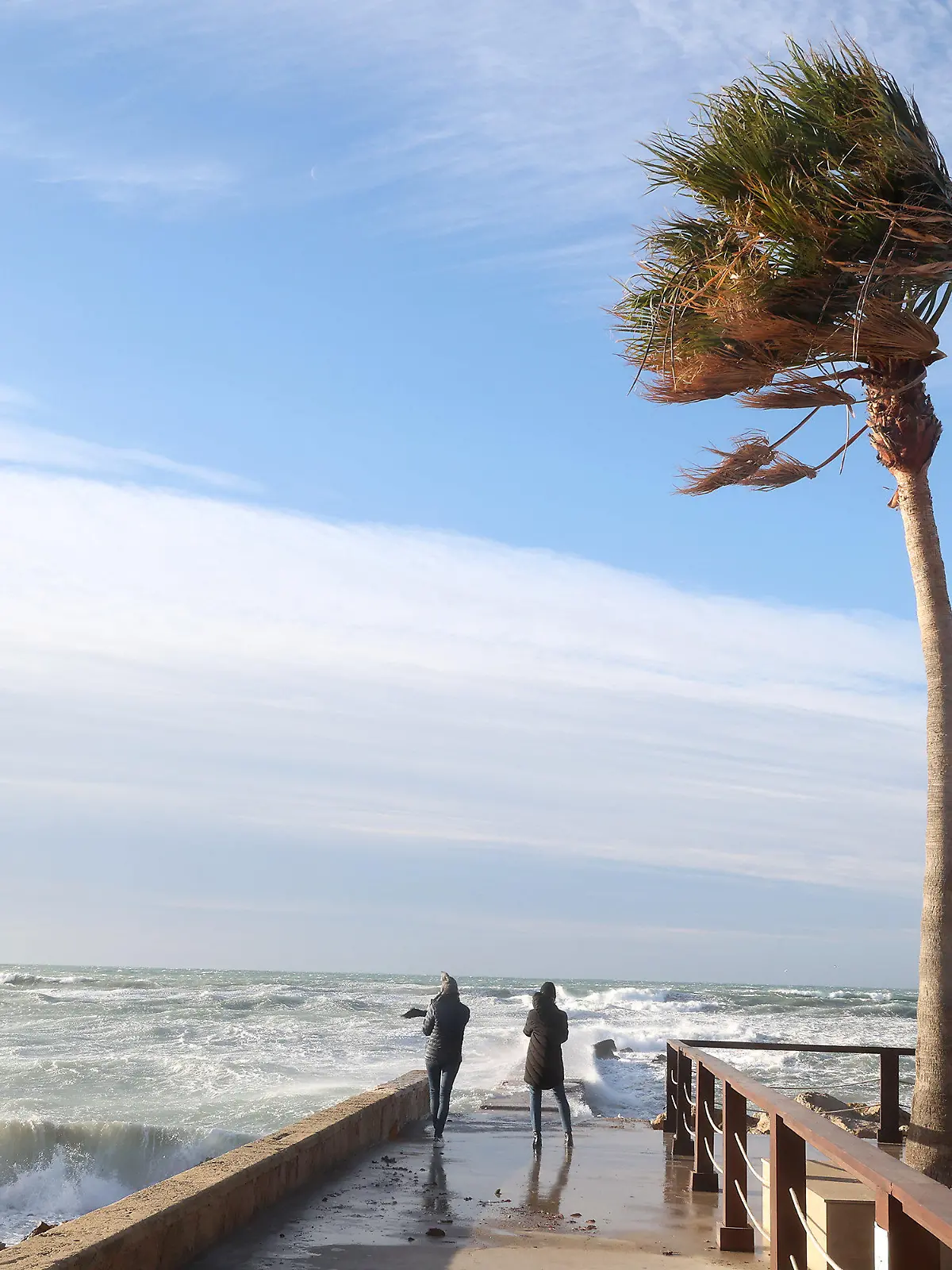 17.01.2023, Spanien, Palma de Mallorca: Zwei Personen fotografieren die großen Wellen in Palma de Mallorca. Auf Mallorca herrscht Alarmbereitschaft wegen starker Windböen, die durch den Sturm «Fien» verursacht werden. Foto: Isaac Buj/EUROPA PRESS/dpa +++ dpa-Bildfunk +++