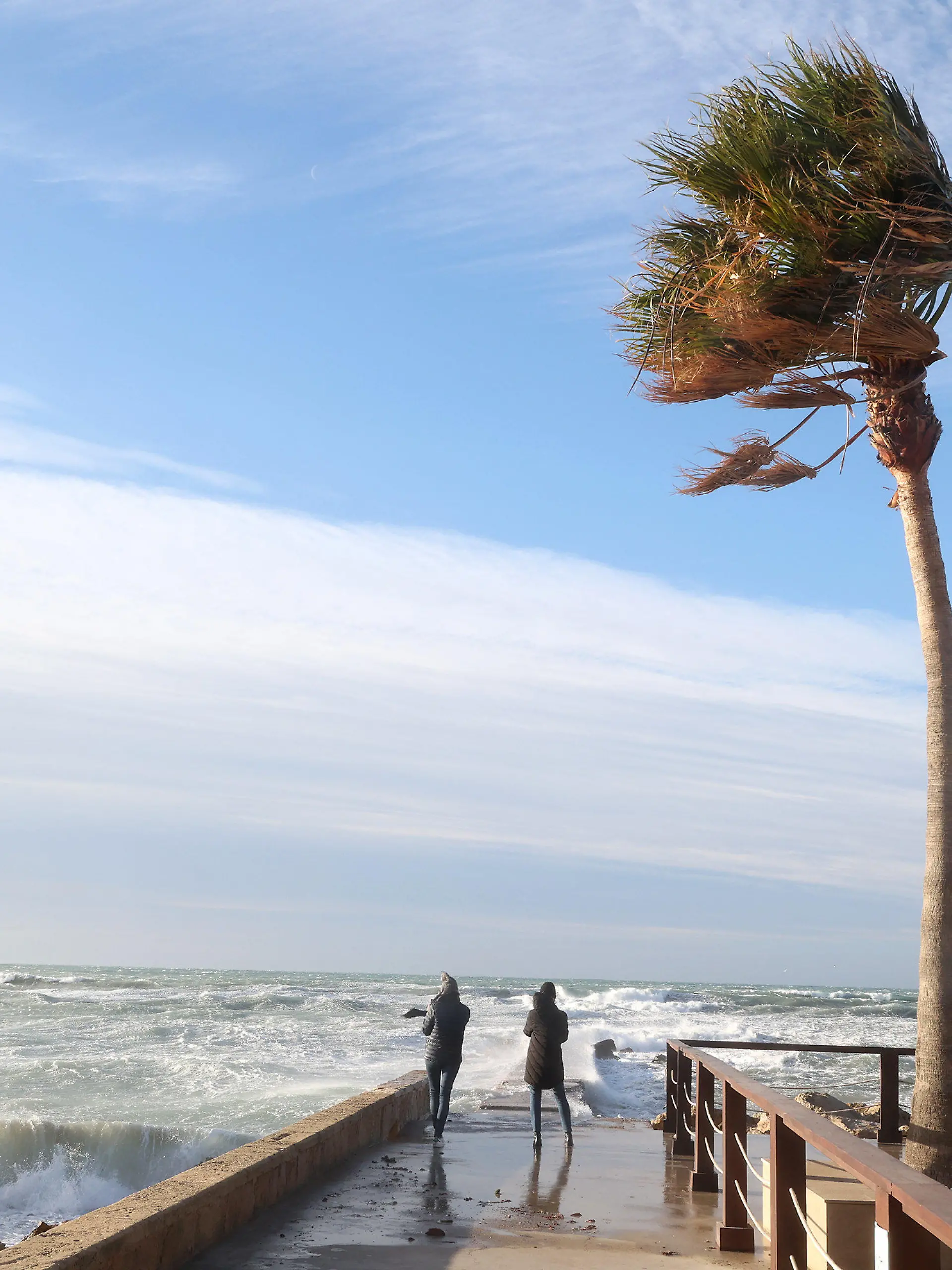 17.01.2023, Spanien, Palma de Mallorca: Zwei Personen fotografieren die großen Wellen in Palma de Mallorca. Auf Mallorca herrscht Alarmbereitschaft wegen starker Windböen, die durch den Sturm «Fien» verursacht werden. Foto: Isaac Buj/EUROPA PRESS/dpa +++ dpa-Bildfunk +++