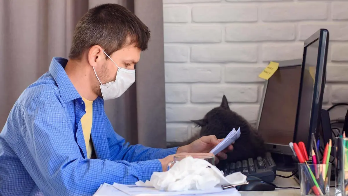 A man in a medical mask reads a document while working remotely, 26.03.2020 22:25:10, Copyright: xMadhoursex Panthermedia28226469