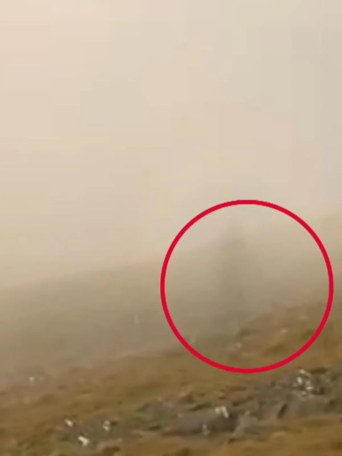 Bild zu: "Mann sieht mysteriösen Geist im Nebel"