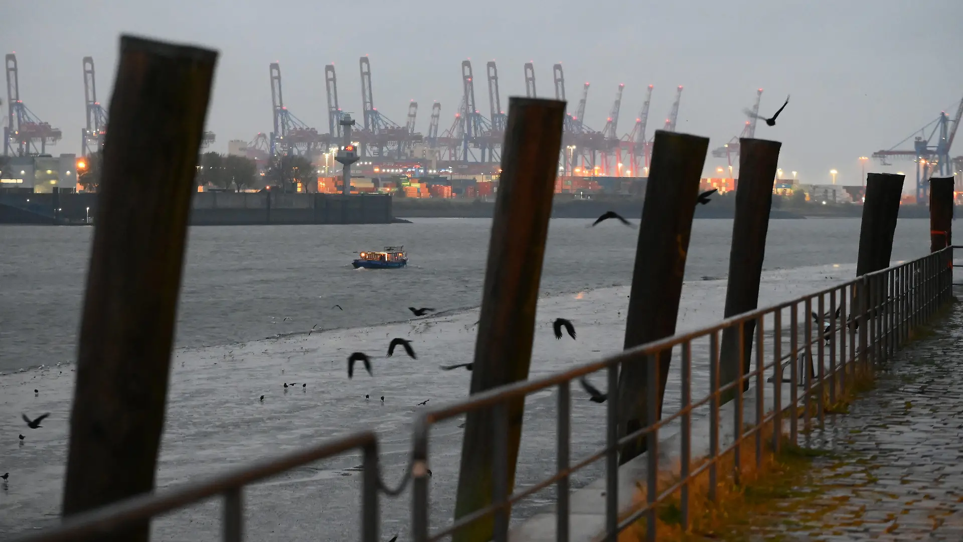17.11.2022, Hamburg: Ein Ausflugsschiff (Barkasse) fährt vor freiliegenden Teilen des Schlicks am Grund der Elbe. Ein starker Wind aus südöstlicher Richtung hat am Donnerstag für eine seltene «Sturmebbe» in der Elbmündung und an der Nordseeküste gesorgt. Foto: Jonas Walzberg/dpa +++ dpa-Bildfunk +++